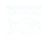 ODS 14 - Vida Submarina